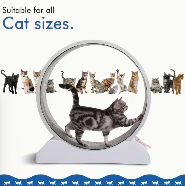 33-Inch Large Carpet-Surface Cat Exercise Wheel🐈🐈🐈