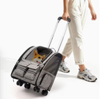 Pet rolling backpack with detachable wheels
